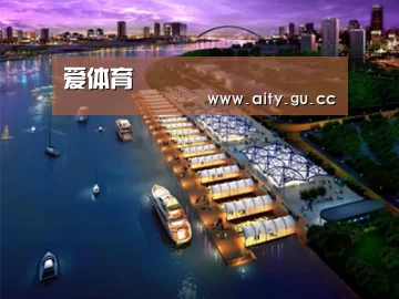 案例展示八(图1)